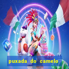 puxada do camelo no jogo do bicho